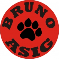 Bruno Asig